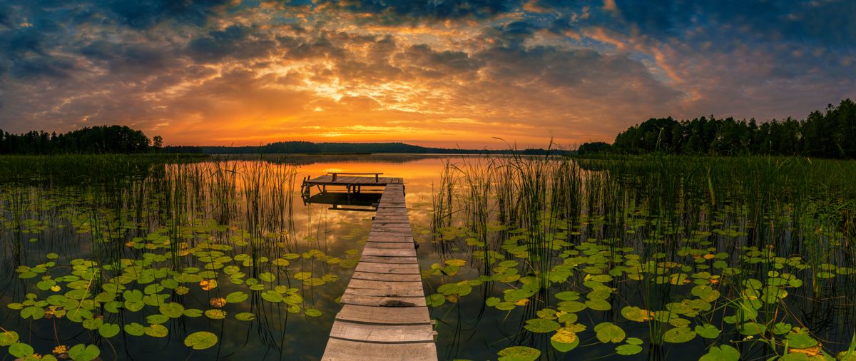 AdobeStock_311795892