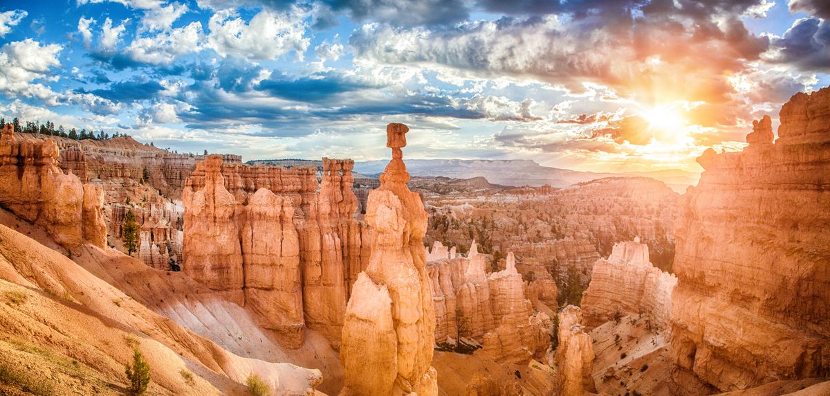 AdobeStock_164490633
