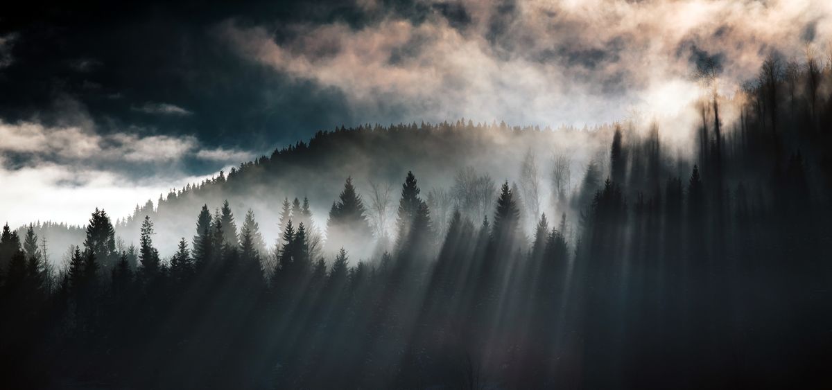 AdobeStock_319752556
