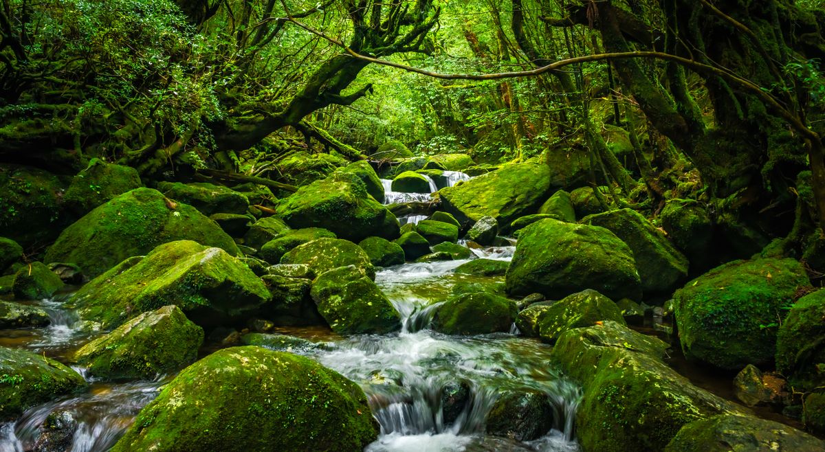 AdobeStock_605688125